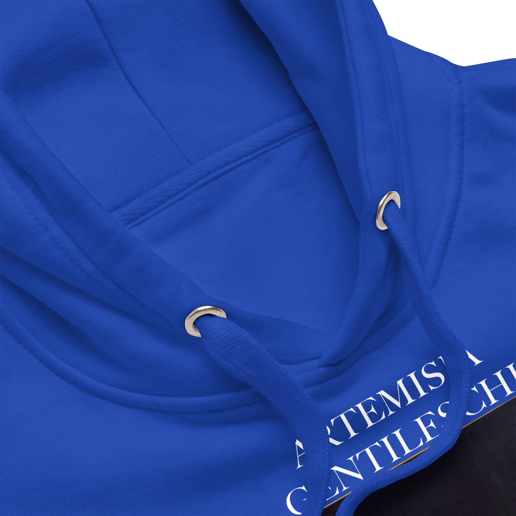 Artemisia Gentileschi 'Judith Slaying Holofernes' Famous Painting Hoodie | Unisex Premium Art Hoodie