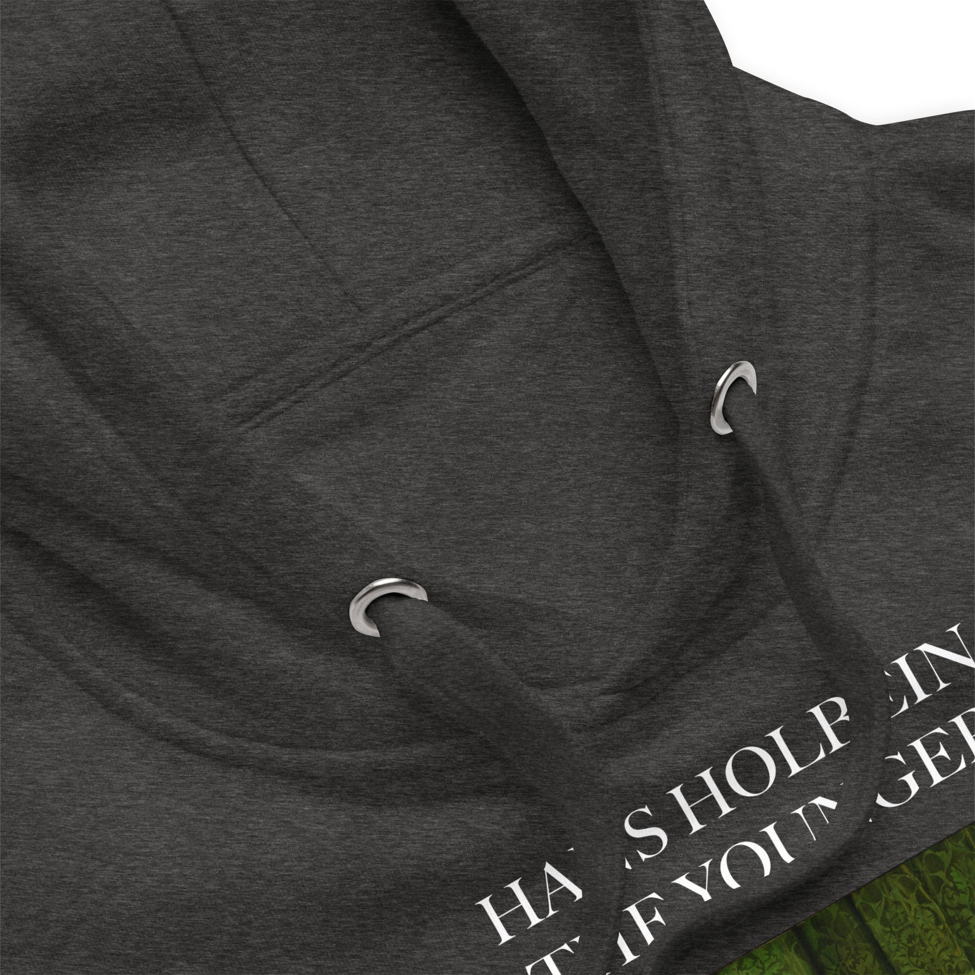 Hans Holbein the Younger 'The Ambassadors' Famous Painting Hoodie | Unisex Premium Art Hoodie